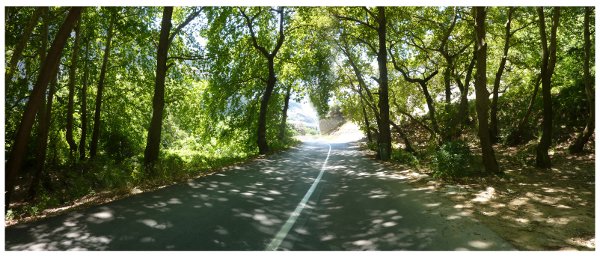Notre Chemin
